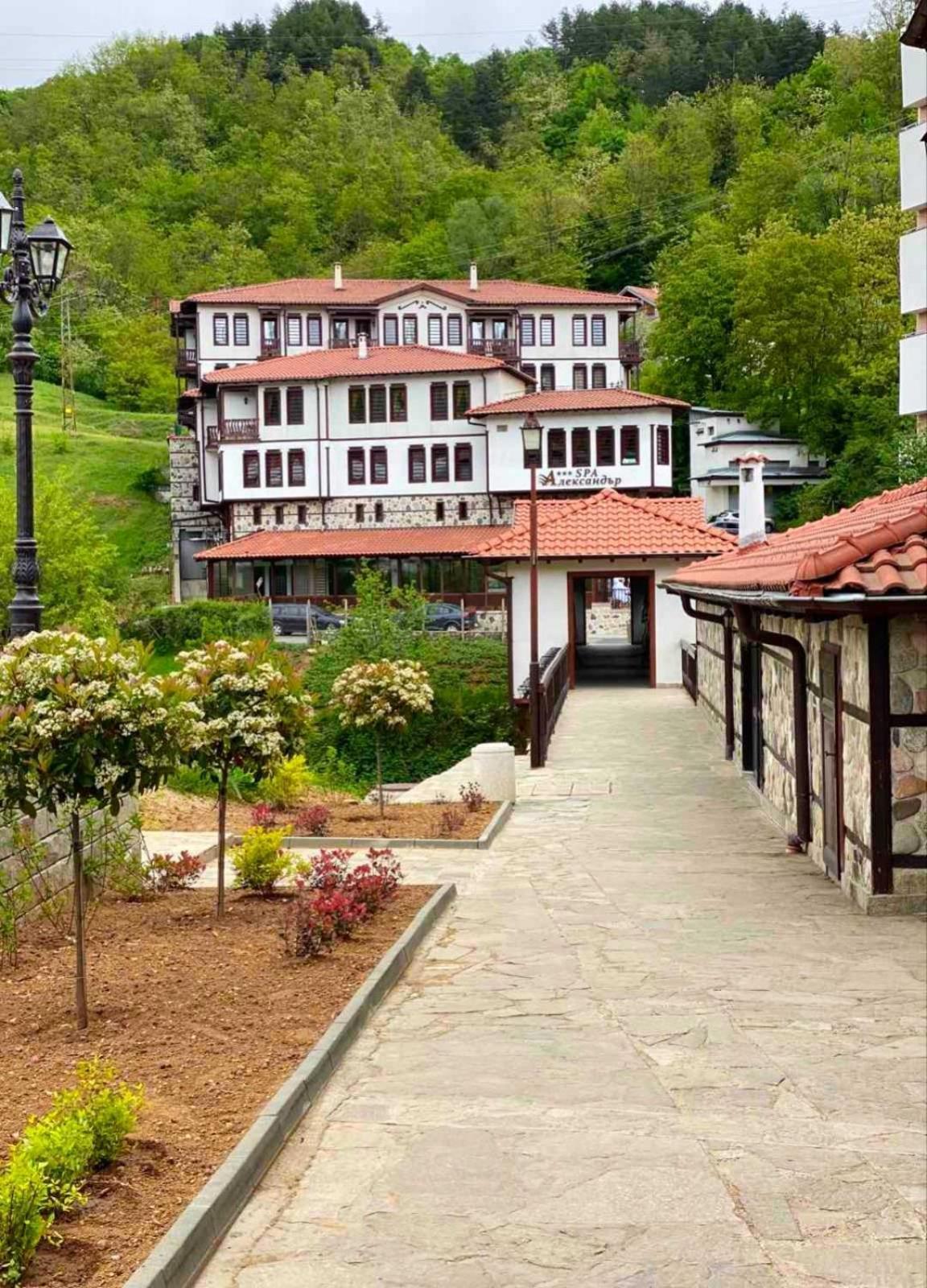 Spa Complex Aleksandar Darıdere Dış mekan fotoğraf