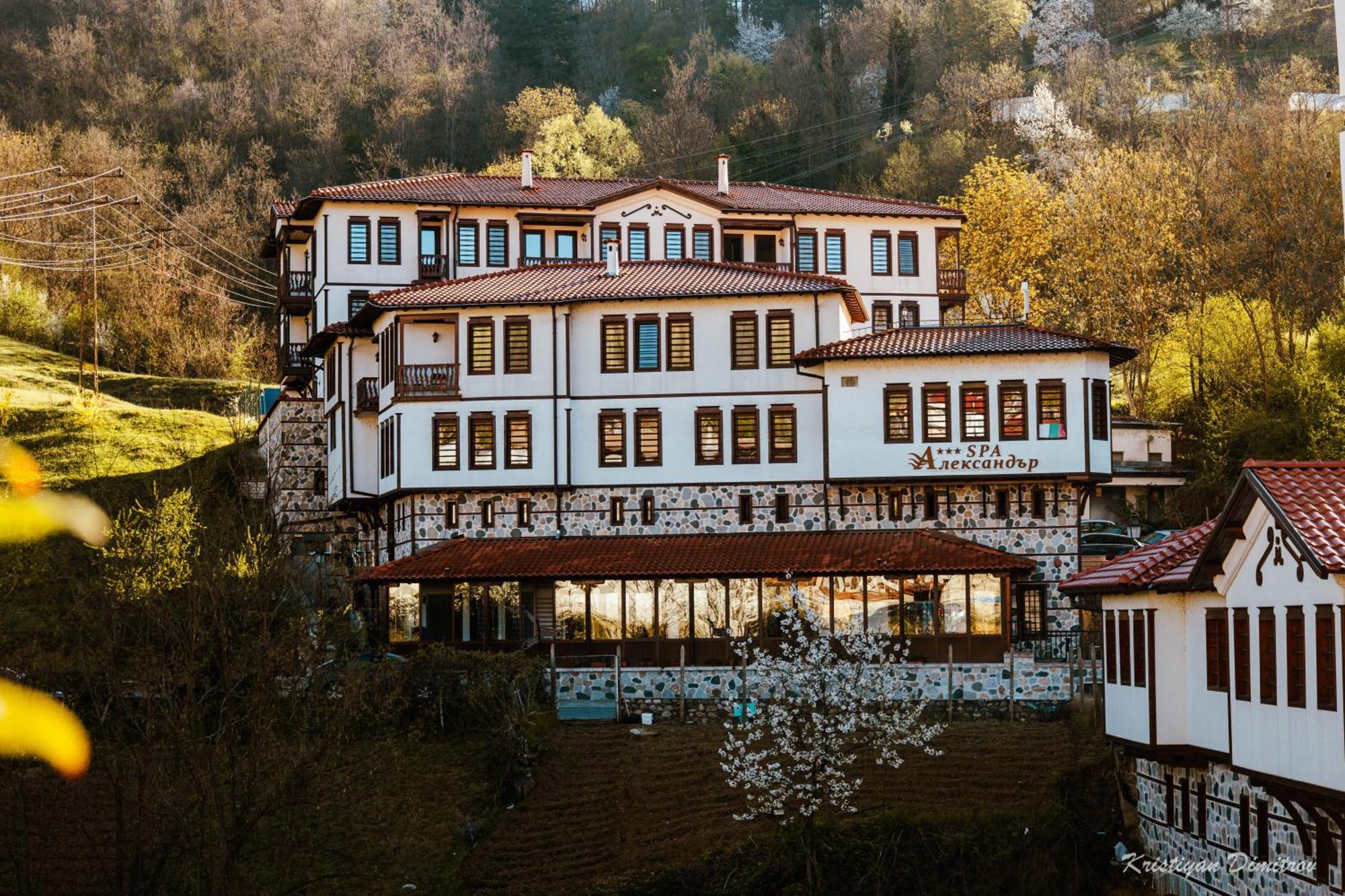Spa Complex Aleksandar Darıdere Dış mekan fotoğraf